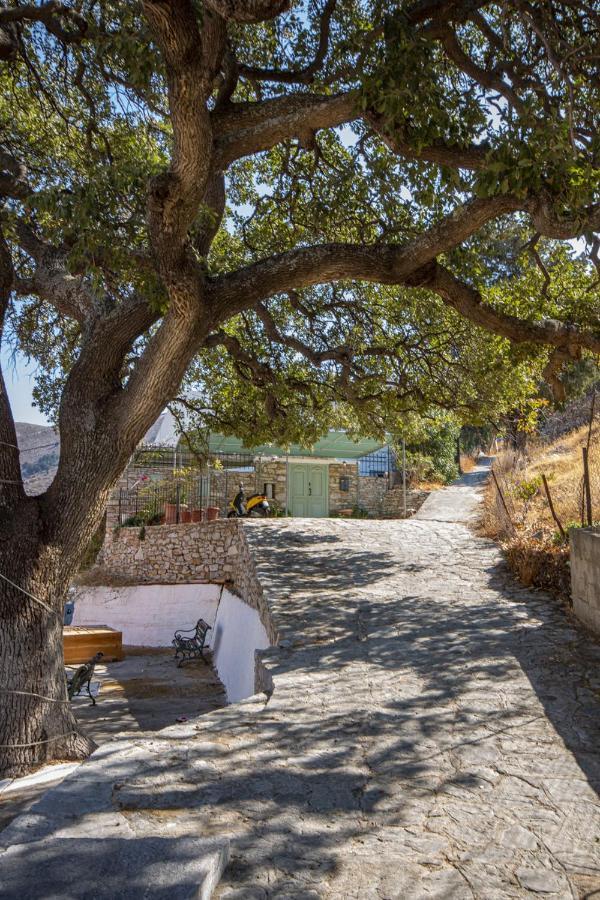 Villa Panorama Symi Exterior foto